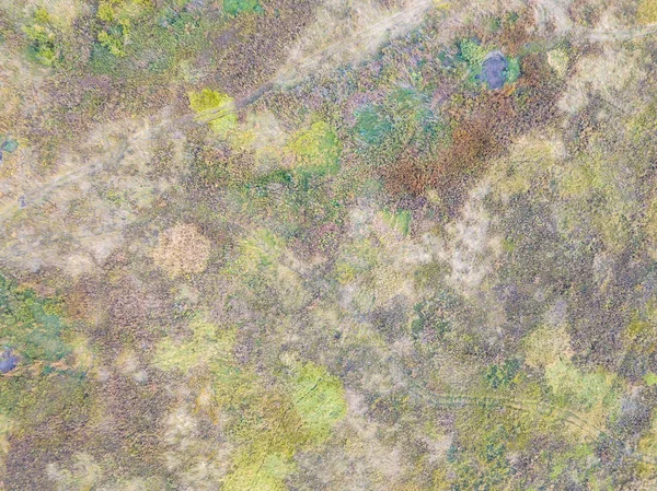 Floresta e campo com uma trilha de fotografia aérea — Fotografia de Stock