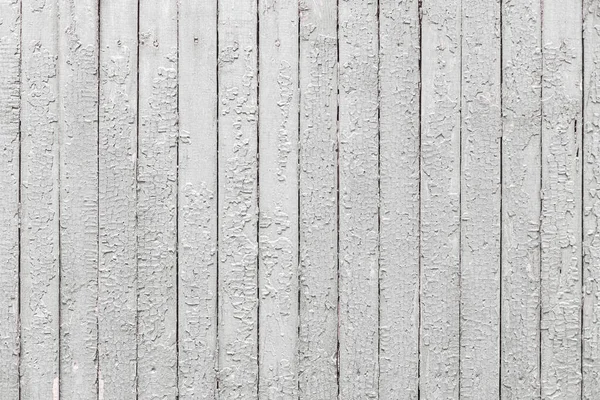 Blanc Bois Texture fond — Photo