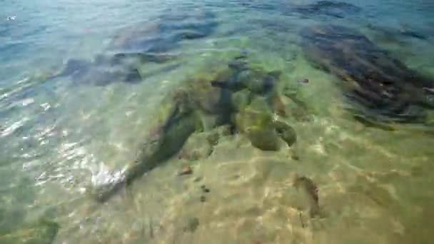 Gros plan de la surface perturbée de l'océan bleu