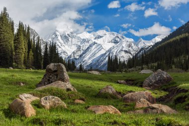 landscape with mountains, Kyrgyzstan clipart