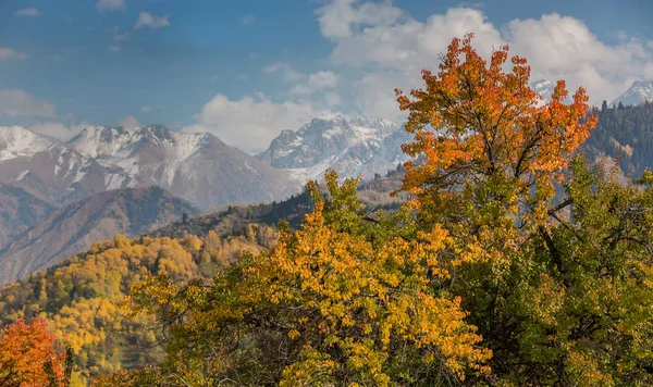Herfst in de bergen, Kazachstan — Stockfoto