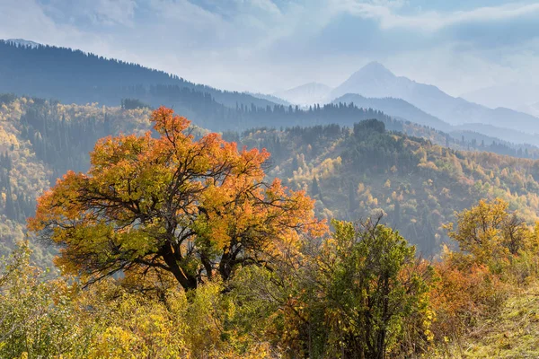 Herfst in de bergen, Kazachstan — Stockfoto
