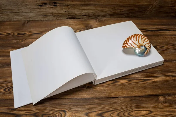 En öppen bok, snäckskal och en filt på trä bakgrund — Stockfoto