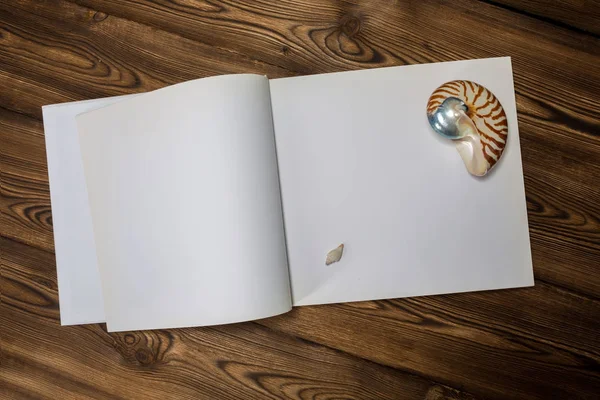 Ein offenes Buch, Muscheln und eine Decke auf dem hölzernen Hintergrund — Stockfoto