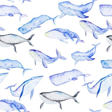 Suluboya balinalar desen