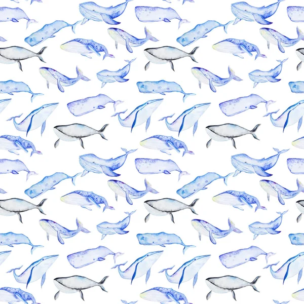 Watercolor whales pattern — Stock Photo, Image