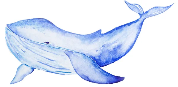 Aquarelle baleine bleue — Photo