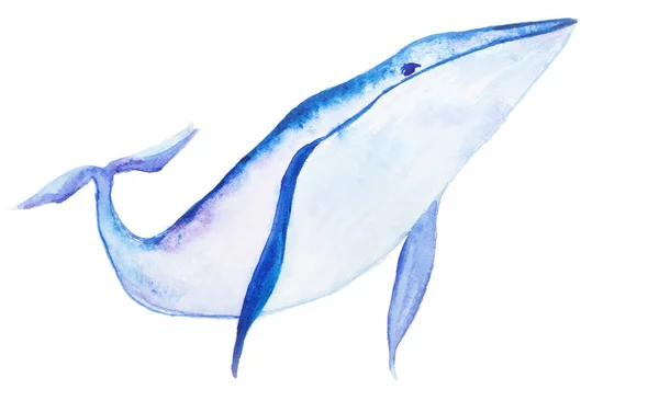 Aquarelle baleine bleue — Photo