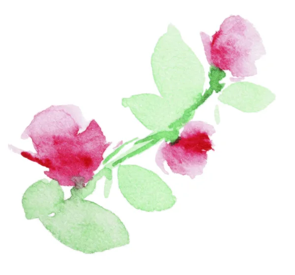 Bukett av akvarell blommor — Stockfoto