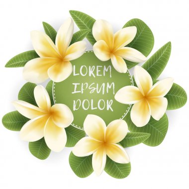 Şablon Plumeria çiçek çelenk ile