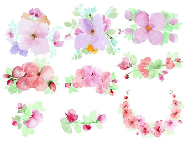 Aquarela flores conjunto — Fotografia de Stock