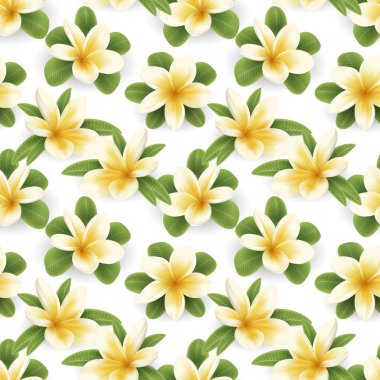 Plumeria seamless modeli