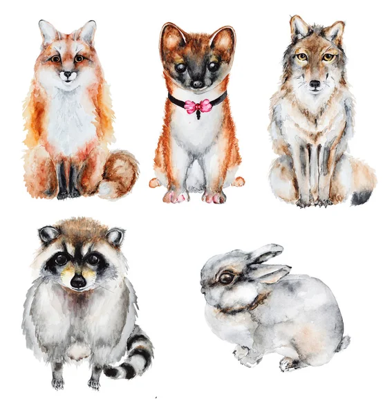 Watercolor fur wild animals Royalty Free Stock Images