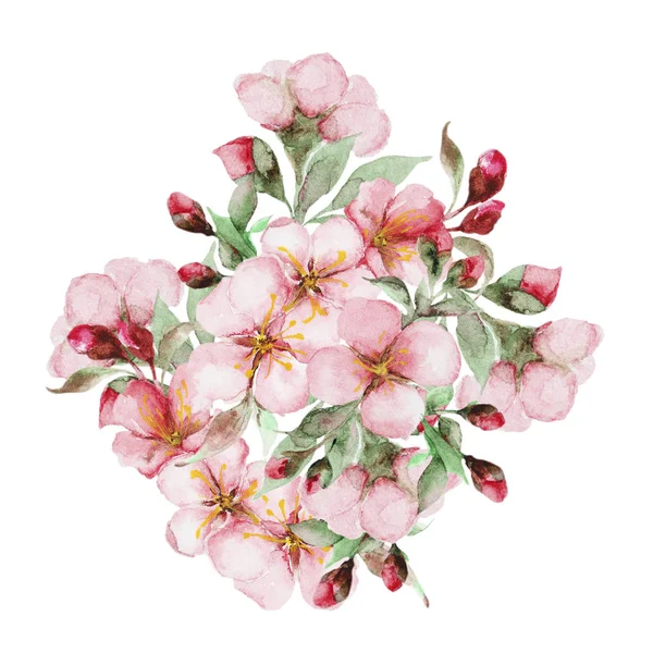 Acuarela sakura flores — Foto de Stock