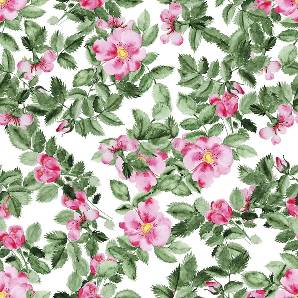 Briar blossom flower pattern — Stock Photo, Image
