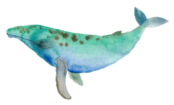 Akvarell multicolor whale — Stockfoto