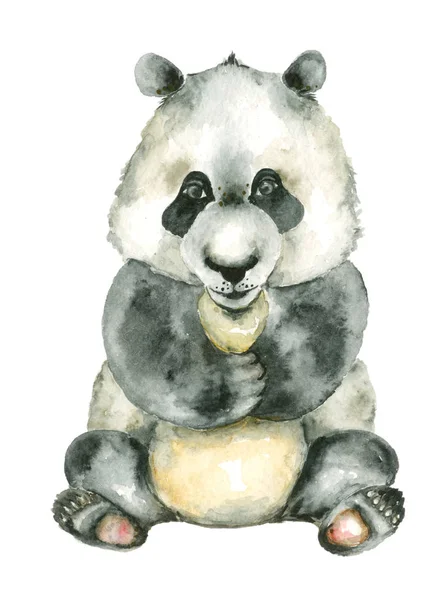 watercolor sitting panda