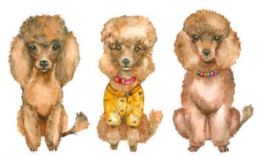 Elle çizilmiş kaniş