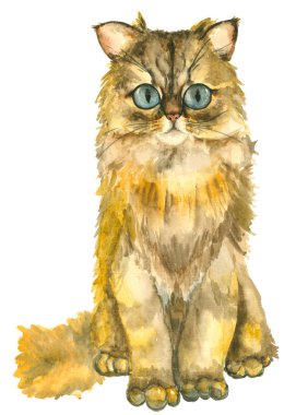 suluboya el çizilmiş kedi