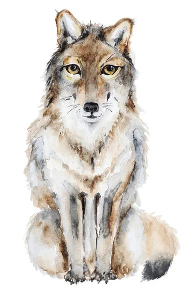 Hand drawn wolf
