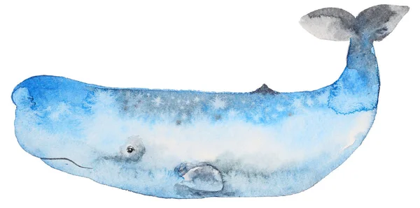 Aquarelle baleine bleue — Photo