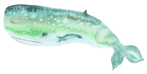 Aquarel groene walvis — Stockfoto