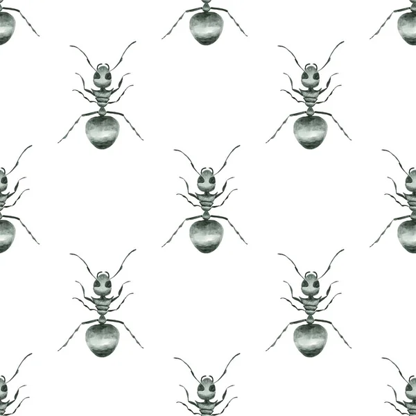 Padrão sem costura de formiga — Fotografia de Stock