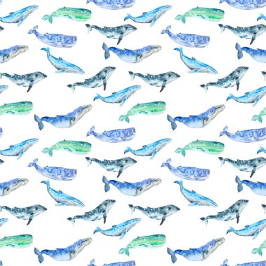 Suluboya balinalar desen