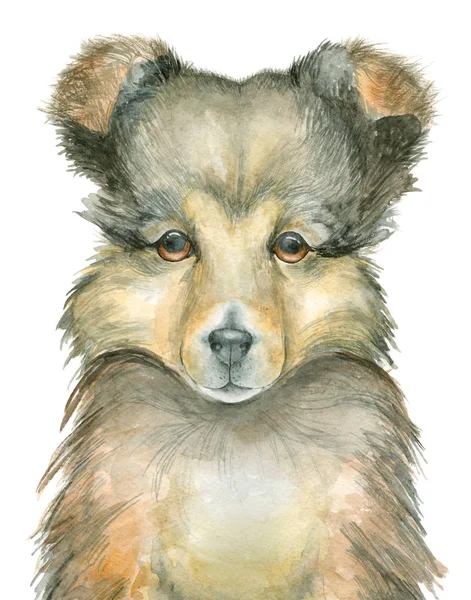 Puppy aquarel avatar — Stockfoto