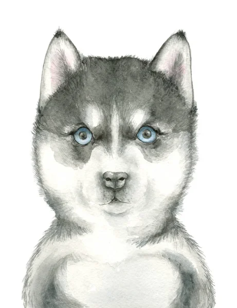 Husky suluboya avatar — Stok fotoğraf