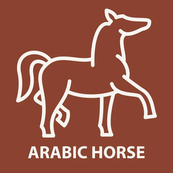 Plantilla de logotipo caballo árabe — Vector de stock