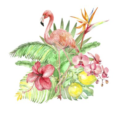 Tropikal suluboya buket