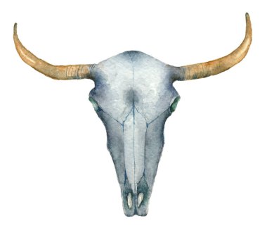 suluboya buffalo skull