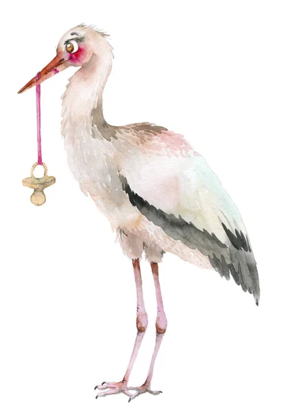 Akvarell Stork med bröstvårta — Stockfoto