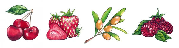 Akvarellarrangemang av söta sommarbär. Jordgubbar, hallon, havtorn och körsbär — Stockfoto