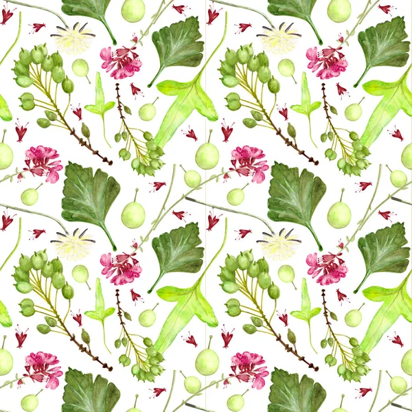 봄 수채 림 무늬, 하얀 배경에 허브와 꽃이 곁들여 있는, 무미건조 한 자연 그대로 의 에코 — 스톡 사진