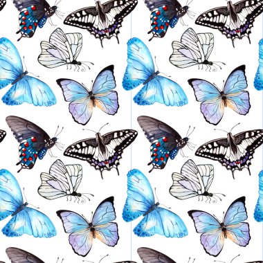 Renkli kelebeklerin kusursuz deseni