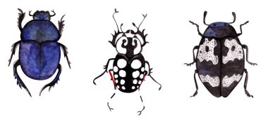 Beyaz bir arka planda egzotik böcekler vahşi böcekler.