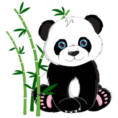 Beyaz arka planda izole edilmiş bambuları olan şirin küçük bir panda, vektör çizimi