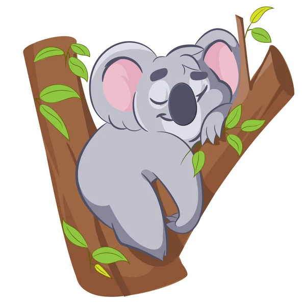 Souriant dessin animé mignon koala dormir sur l'arbre . — Image vectorielle