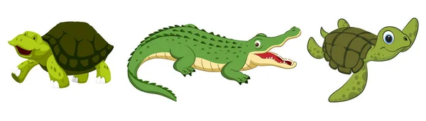 Leuke krokodil en schildpadden. Reptielenverzameling Vectorillustratie, geïsoleerd op witte achtergrond — Stockvector