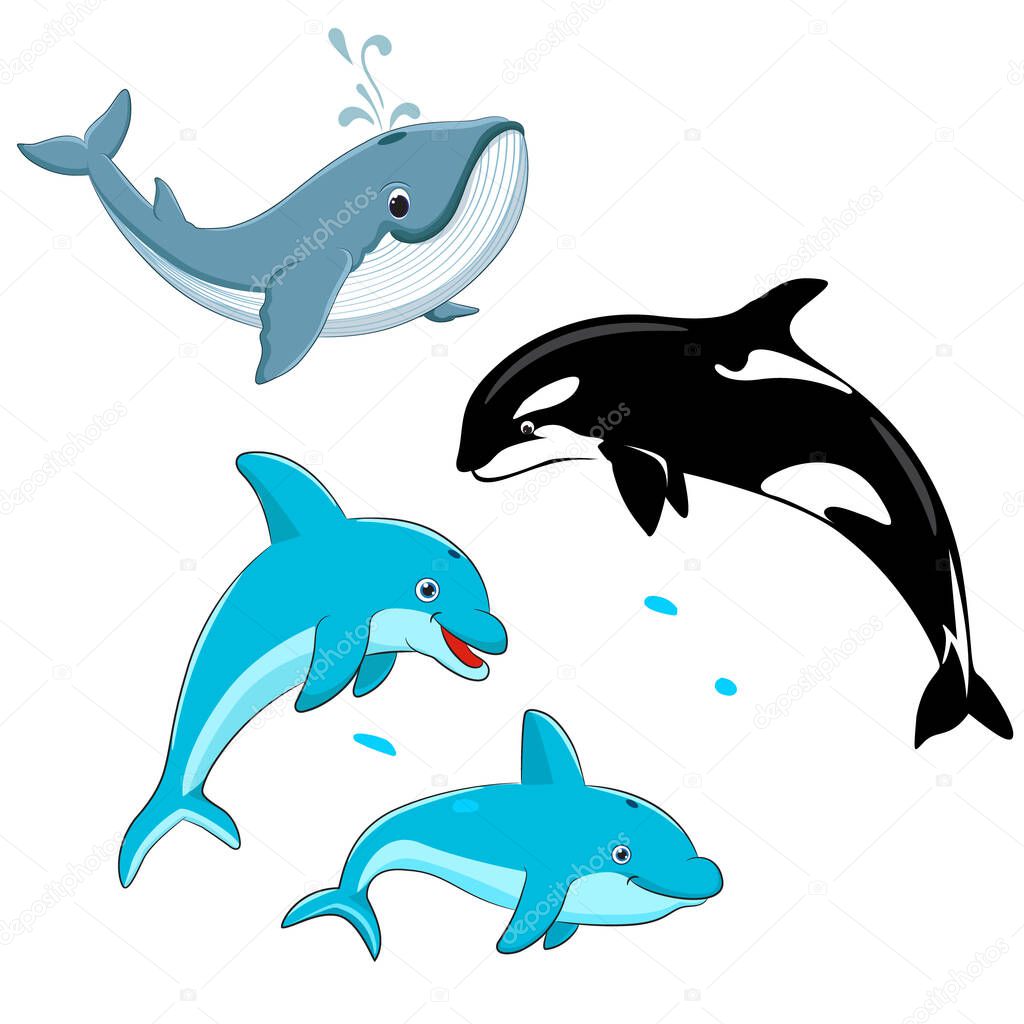 Set of vector whales and dolphins. Vector illustration of marine mammals, such as blue whale, dolphin, killer whale.