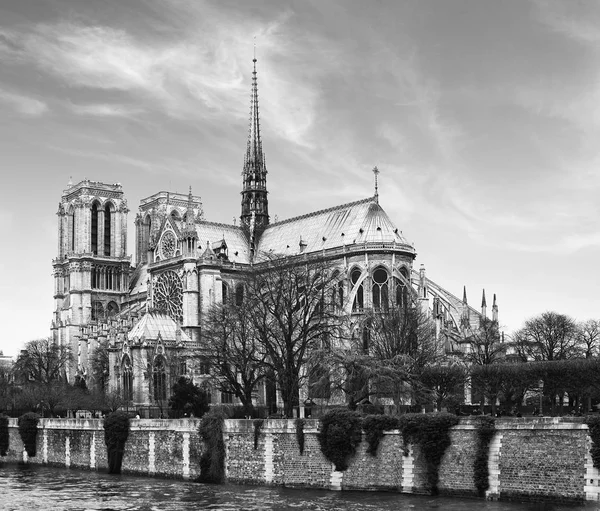 Notre Dame von Paris. — Stockfoto