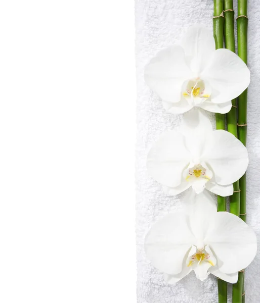 Tres orquídeas y ramas de bambú acostadas sobre una toalla blanca . — Foto de Stock