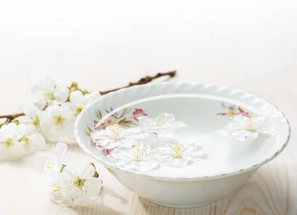 Schwimmende Blumen (Kirschblüte) in weißer Schale. — Stockfoto