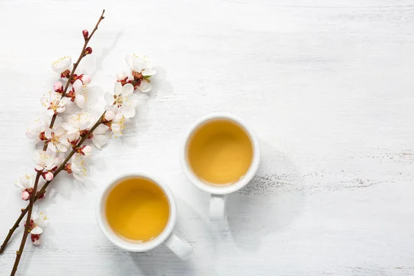 Zwei Tassen grüner Tee und Zweige blühender Aprikosen. lizenzfreie Stockbilder