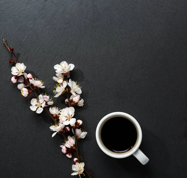 Taza de café y flores de primavera sobre fondo de pizarra negro  . — Foto de Stock