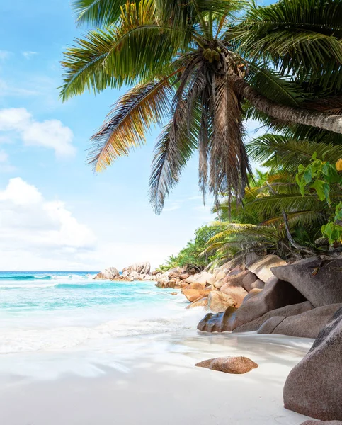 Vacker tropisk sandstrand med granitklippor och kokospalmer. Stockfoto