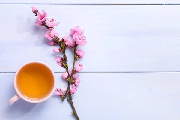 Šálek zeleného čaje a větví kvetoucí broskev na lila dřevěný stůl Stock Obrázky