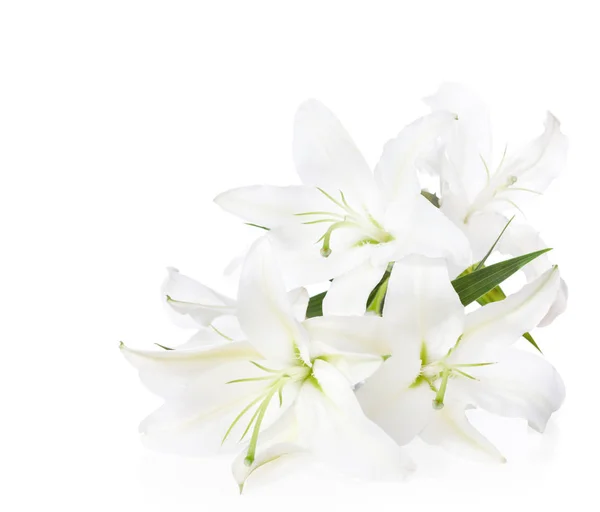 흰 백합 (흰색 배경에 고립의 꽃다발). 로열티 프리 스톡 이미지